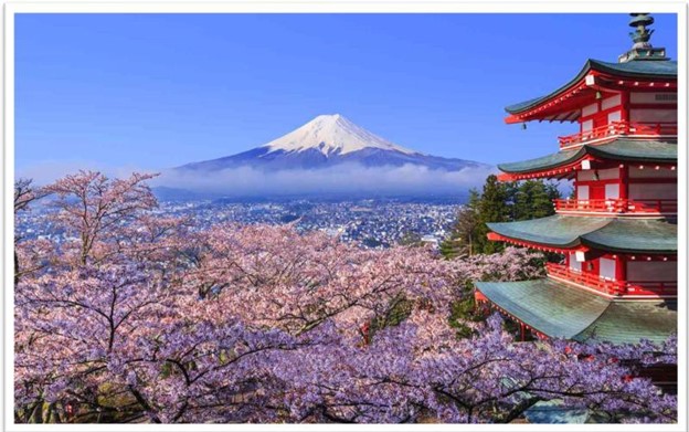 SHIZUOKA - YAMANASHI - FUJI - TOKYO