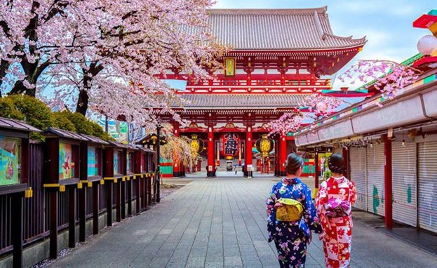 SHIZUOKA - YAMANASHI - FUJI - TOKYO