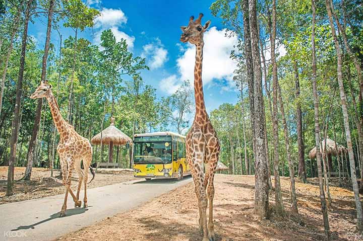 Tour Phú Quốc - Câu Cá Lặn Ngắm San Hô 2 Đảo - Vinpearl Safari - Rạch Vẹm 